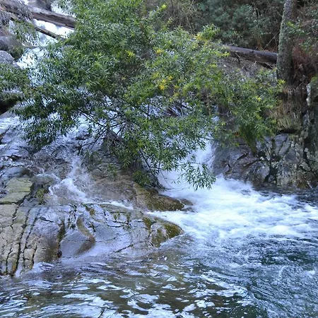 Casa de Campo Quinta Do Real -