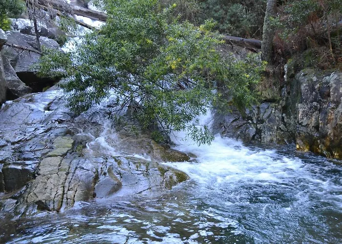 Séjour à la campagne Quinta Do Real -
